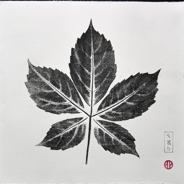 Natural Print, Virginia Creeper Print (Parthenocissus), Leaves & Flowers Print, Nature Print, Minimalist Art