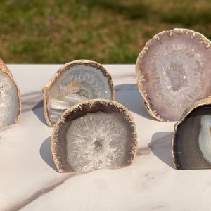 May include: A collection of six polished agate geodes, showcasing a variety of colors and patterns. The geodes are cut to reveal the crystalline interiors, with shades of white, gray, and brown. The natural formations are displayed on a white surface.