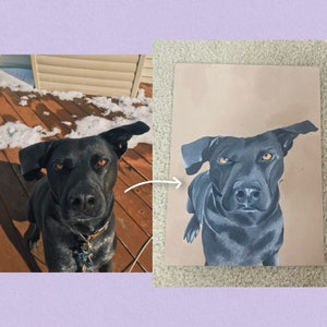 Custom Pet Painting - Acrylic Painting on Canvas - Hand Painted