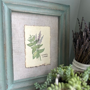Lavender & Mint Botanical Illustration Wall Art Original Watercolor Painting Cottagecore Farmhouse French Country Vintage Rustic Home image 4