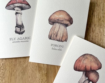 Mushrooms Botanical Illustration Set of 3 Greeting Cards