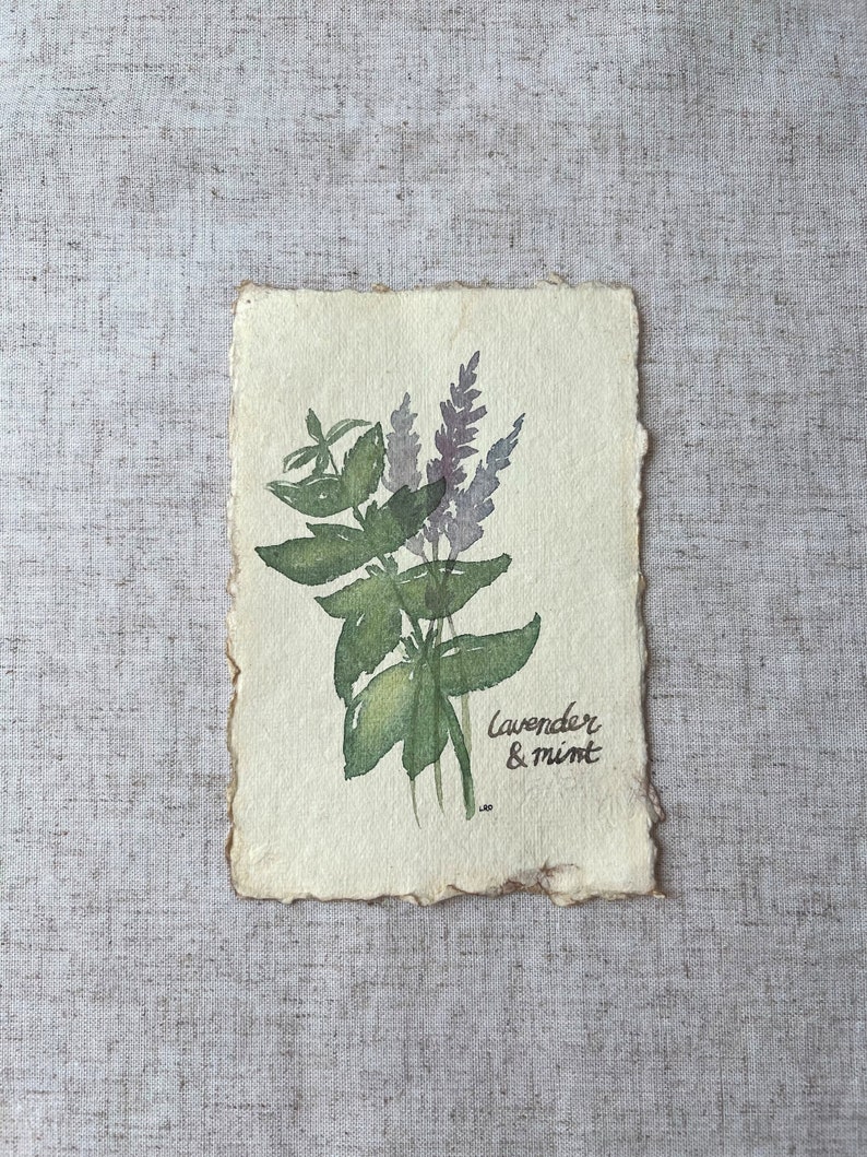 Lavender & Mint Botanical Illustration Wall Art Original Watercolor Painting Cottagecore Farmhouse French Country Vintage Rustic Home image 2