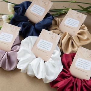 May include: Six colourful satin scrunchies with tags that read "I am a scrunchie made of root fabric remnants from gorgeous lingerie www.identitylingerie.com".