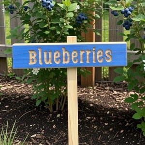 Blueberries Cedar Garden Marker | Rustic Farmhouse Plant Sign