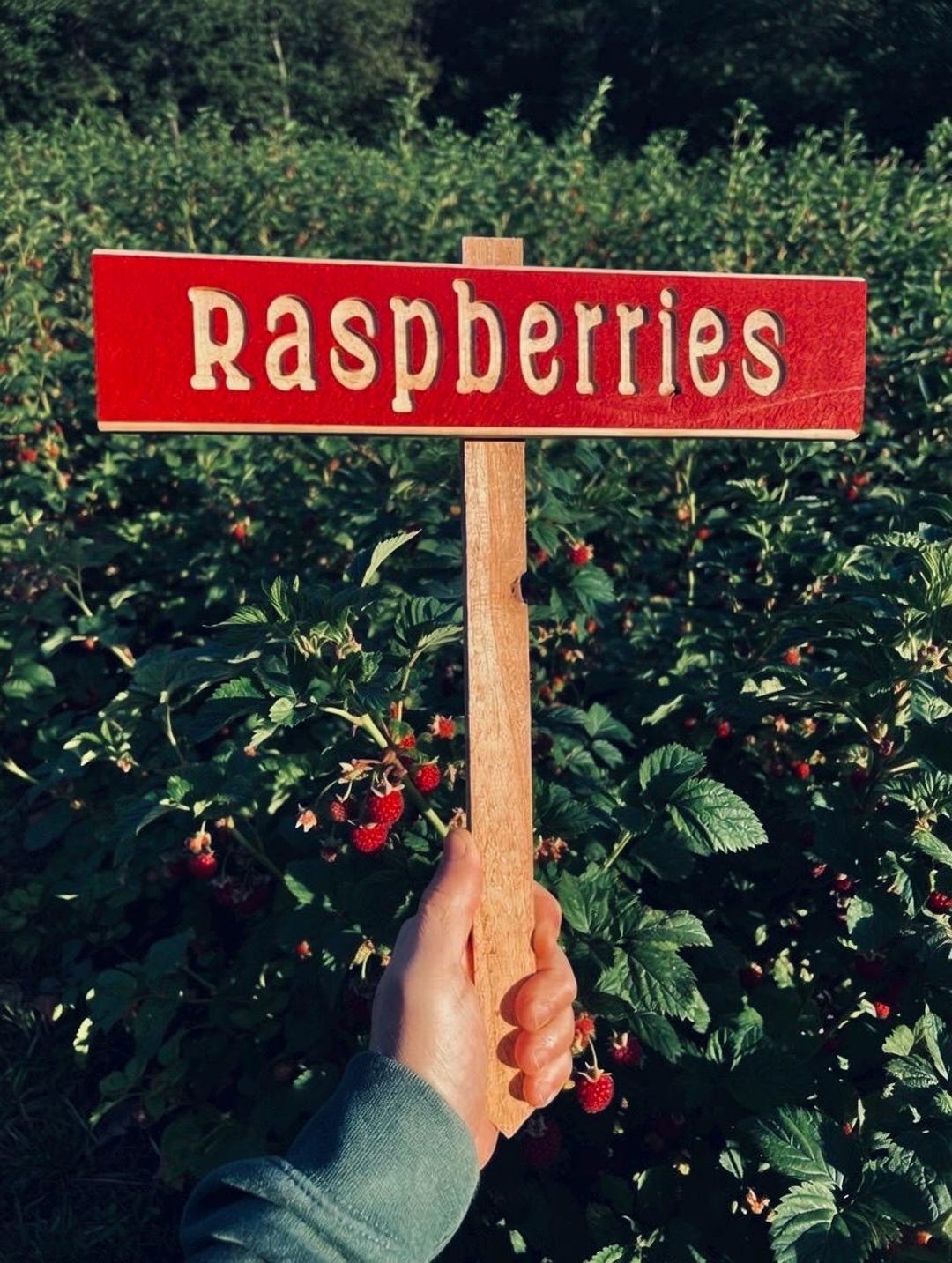 Raspberries Cedar Garden Marker | Rustic Farmhouse Plant Sign - Etsy