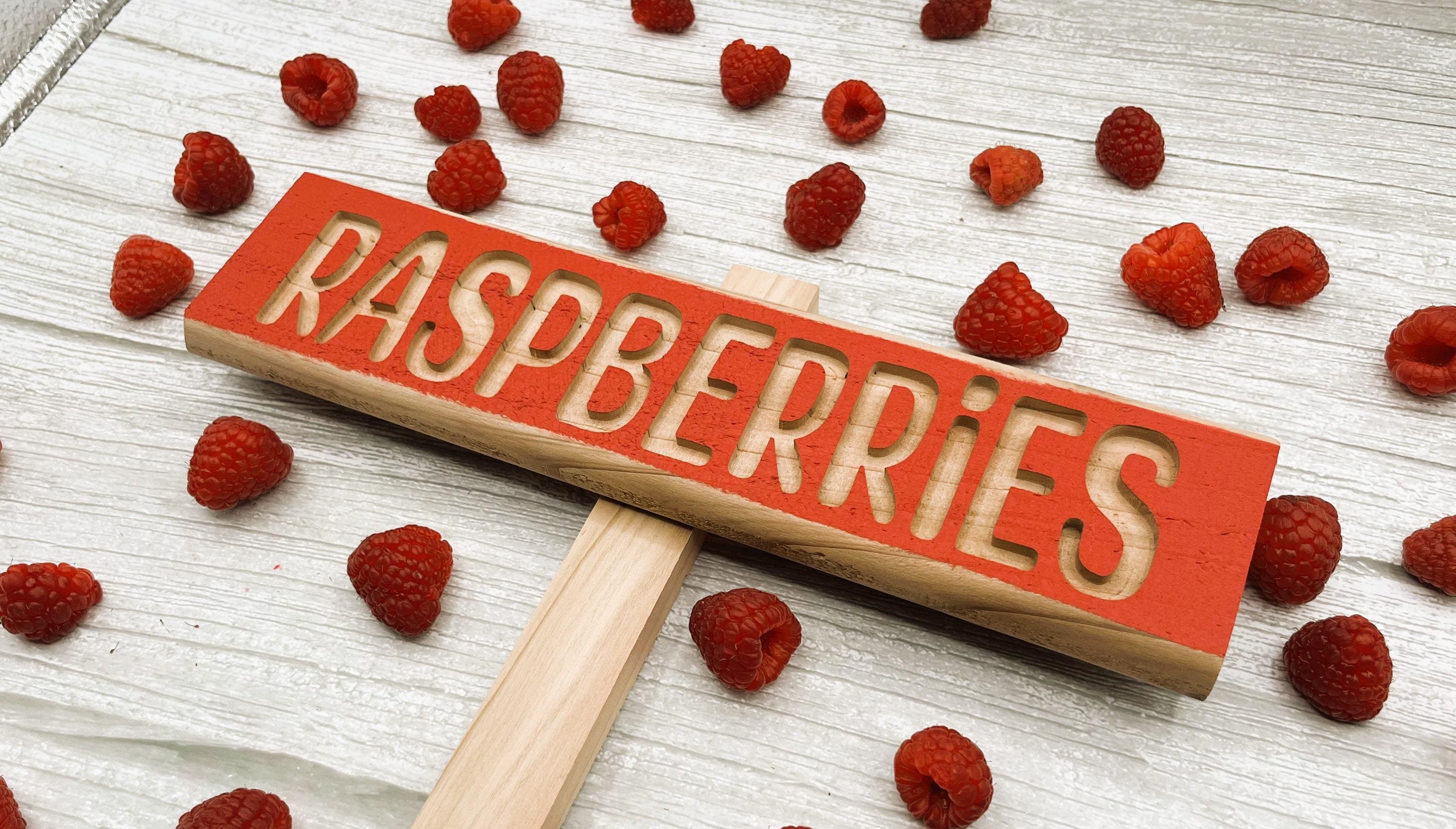 Raspberries Cedar Garden Marker | Rustic Farmhouse Plant Sign - Etsy