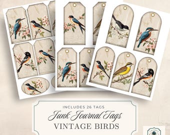 May include: Sheets of vintage-style tags featuring illustrations of various birds perched on flowering branches. The tags have a distressed paper background and are labeled "Junk Journal Tags Vintage Birds". The sheet measures 8.5 x 11 inches.