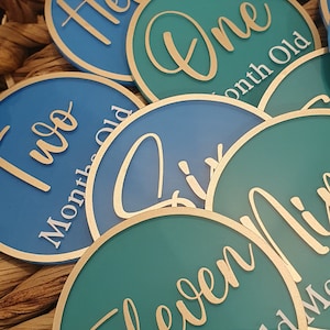Acrylic Baby Milestone Rounds - Monthly Baby Milestone Discs - 12 Month Set Announcement - Newborn Photo Prop - Babies First Year