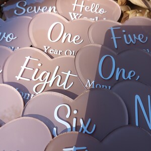Acrylic Baby Milestone Rounds - Monthly Baby Milestone Discs - 12 Month Set Announcement - Newborn Photo Prop - Babies First Year