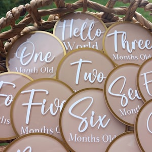 Acrylic Baby Milestone Rounds - Monthly Baby Milestone Discs - 12 Month Set Announcement - Newborn Photo Prop - Babies First Year