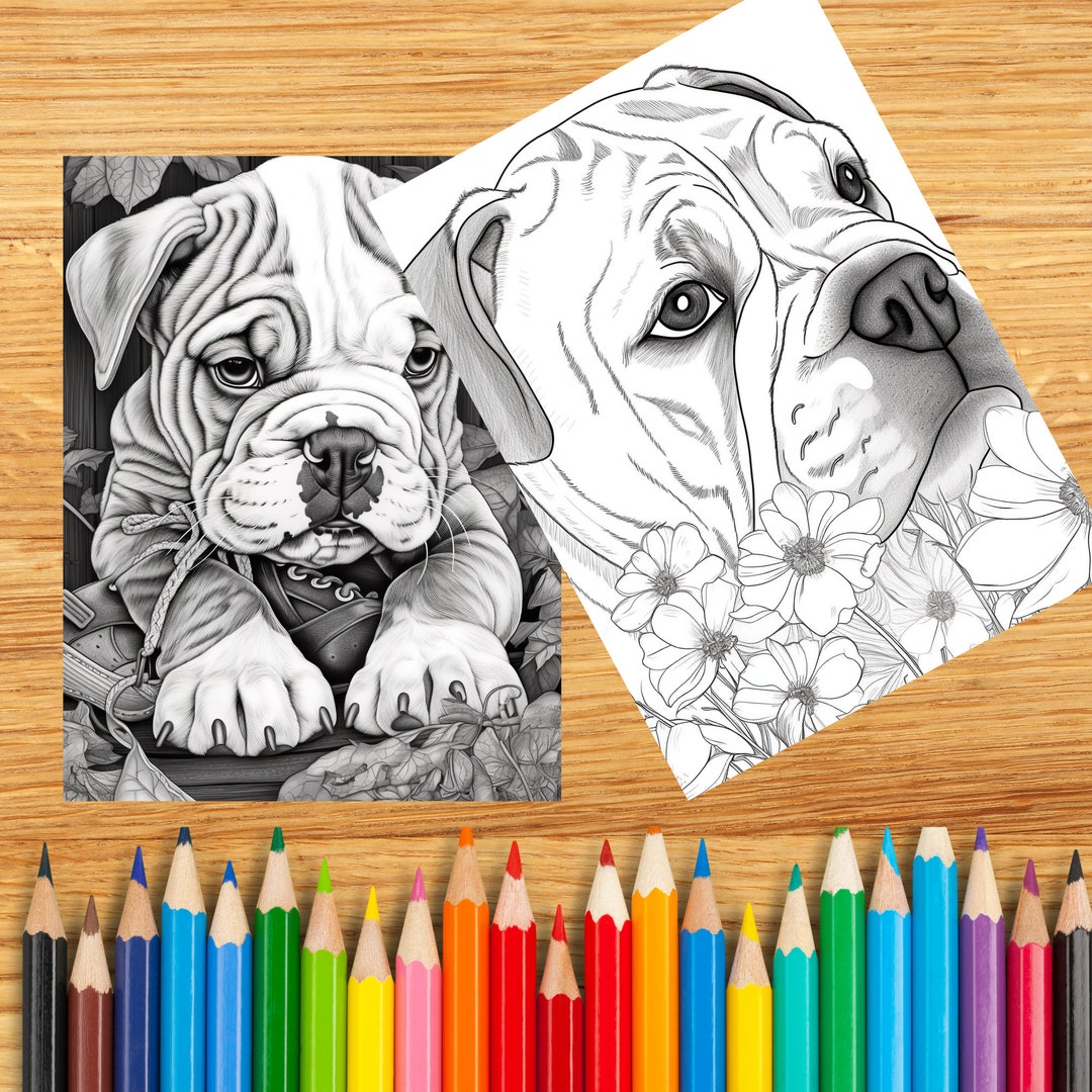 Dog Breed Coloring Pages Vol 1 Bulldogs 10 Printable Pages - Etsy