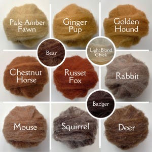 8oz Woodland Creature Colors - 8 Ounce Corriedale Pet Colored Carded Slivers - Wool Roving for Needle Felting