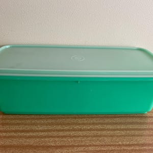 May include: A rectangular, teal plastic container with a matching lid. The lid is a lighter shade of teal and has a circular design in the centre. The container is on a wooden surface.