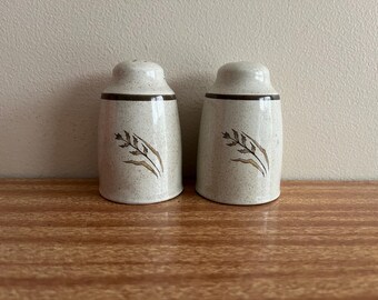 Royal Doulton Lambethware Zout- en peperstel 1977 Hilltop