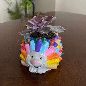 Hedgehog planter flower succulent pot - DIY best gifts, craft ideas for home, office decoration, living room ornament, small garden ideas.