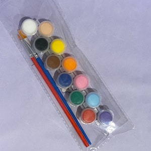 Washable acrylic paint & brushes set for DIY craft painting projects, non-toxic Acrylic Paint pots with flat paint brush and detail brush.