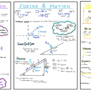 May include: Three whiteboards with handwritten notes on numerical integration, forces and motion, and working with data. The notes include formulas, diagrams, and examples.