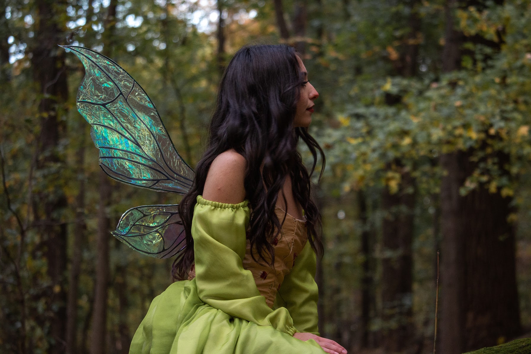 Iridescent Fairy Wings, Cicada inspired design, realistic look with no straps!