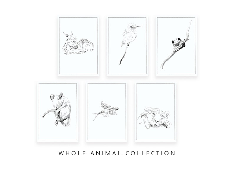 Lion Graphite Sketch Wall Art & Illustrations in Three Colors - Etsy