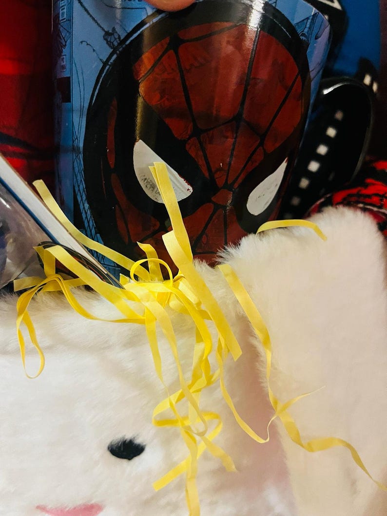Spiderman Easter bundle soft throw 50 by 70 cloud pillow ,chalk,kite,mug and bubble wand image 6