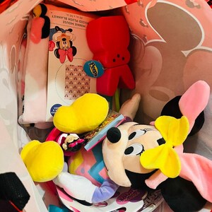 Minnie Mouse Adorable Bundle 40 BY 50 baby throw Easter Plush sand bucket image 7