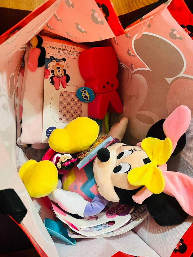 Minnie Mouse Adorable Bundle 40 BY 50 baby throw Easter Plush sand bucket image 7