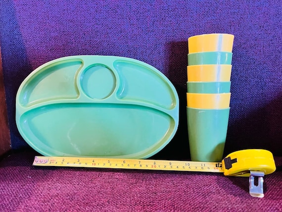 Vintage Plastic Camping or Picnic Tray Se - image 1