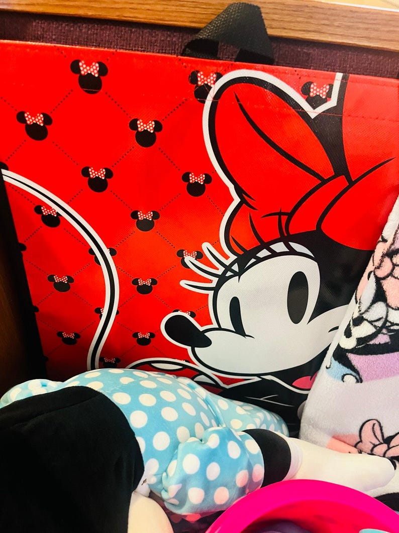 Minnie mouse sand bucket 50 x 70 soft adorable throw large mini pillow plush image 8