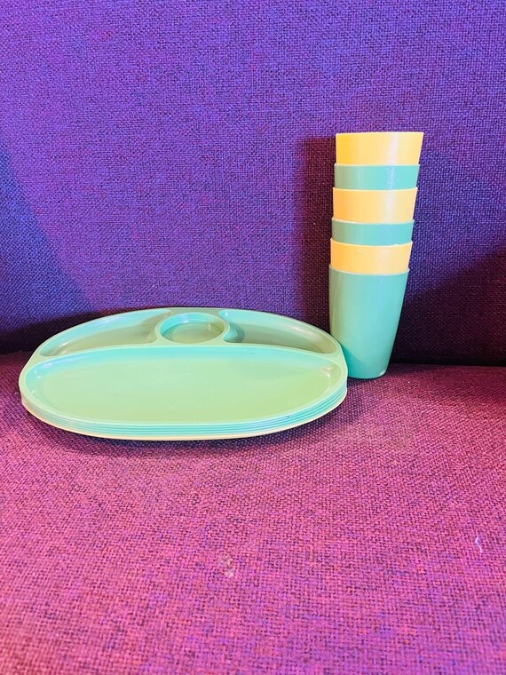 Vintage Plastic Camping or Picnic Tray Se - image 2