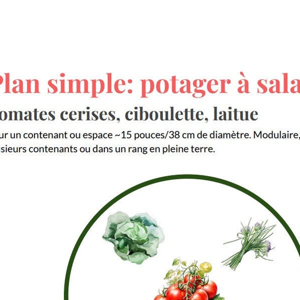 Plan simple: potager à salade - tomates, ciboulette, laitue pour contenant ou espace 15 pouces - produit numérique PDF