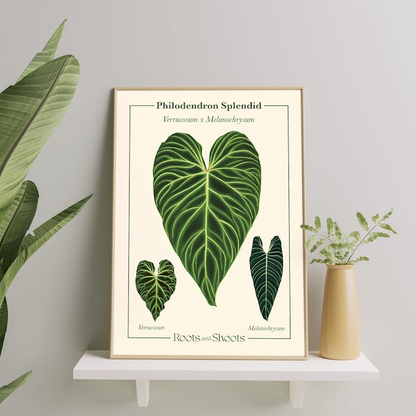 Philodendron Splendid – Verrucosum x Melanochrysum Digital Botanical Illustration