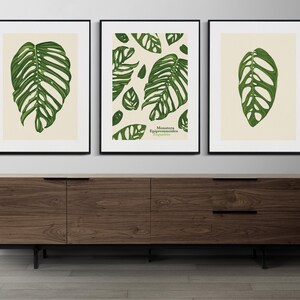 May include: Three framed botanical prints of Monstera Epipremnoides leaves in shades of green on a cream background. The prints are displayed on a dark brown wooden cabinet with black legs.