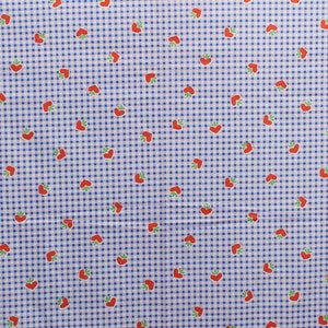 1960s Vintage cotton border Fabric, plaid fabric flower stripe border