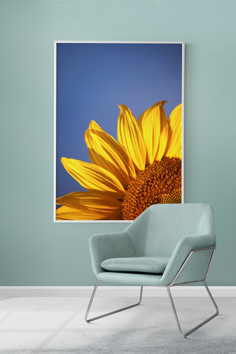 Set of 2 Sunflower Print, Floral Print Set, Blue & Yellow Wall Decor