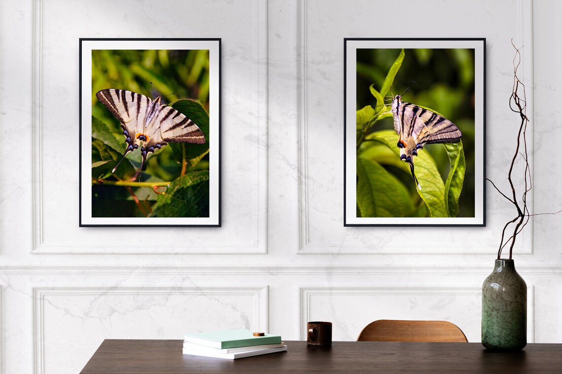 Set of 2 Printable Butterfly Photos, Butterfly Printable Wall Art ...