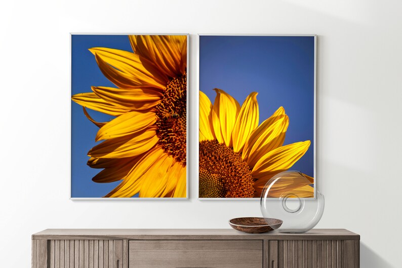 Set of 2 Sunflower Print, Floral Print Set, Blue & Yellow Wall Decor