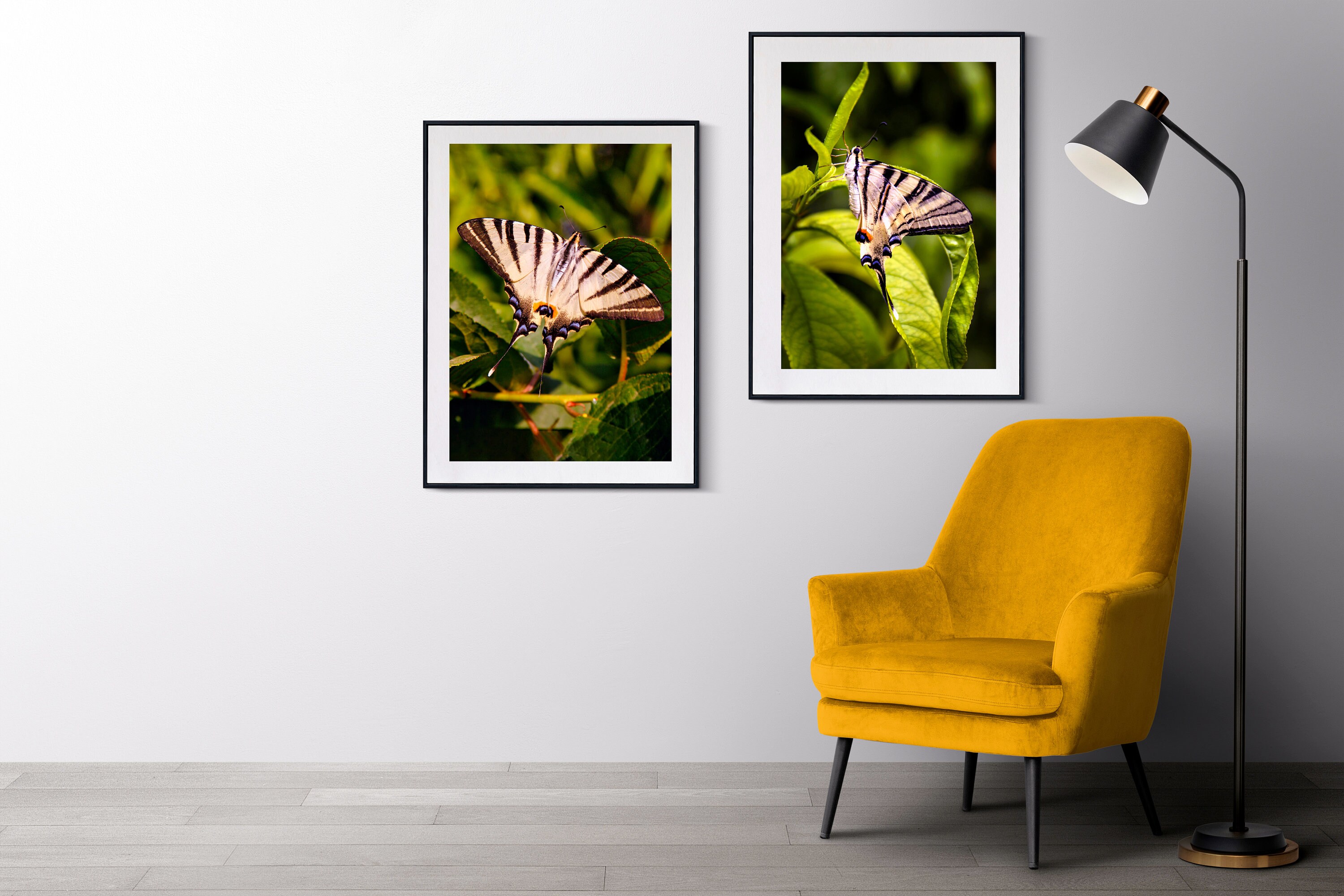Set of 2 Printable Butterfly Photos, Butterfly Printable Wall Art ...