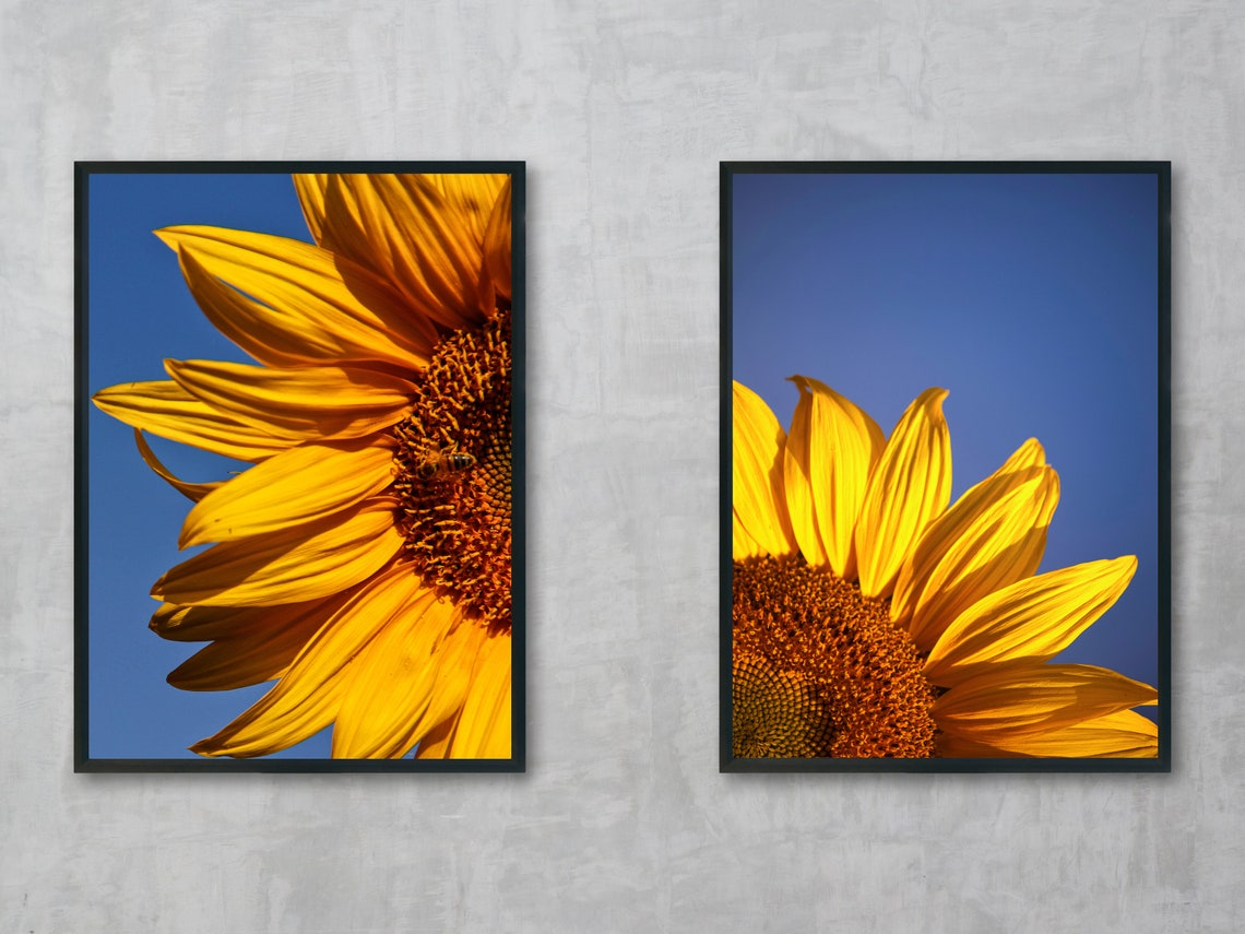 Set of 2 Sunflower Print Floral Print Set Blue & Yellow Wall Etsy