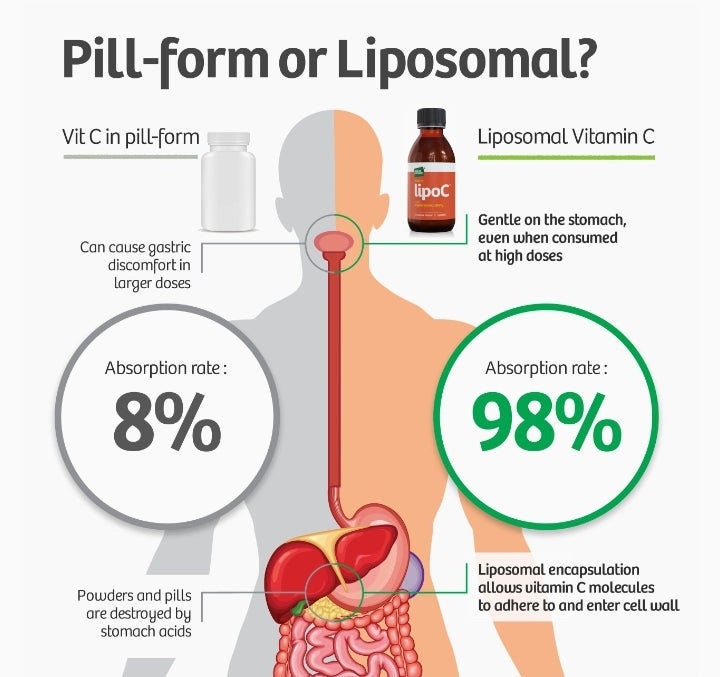 Liposomal Vitamin C: Non-gmo, Soy-free, High Absorption - Etsy