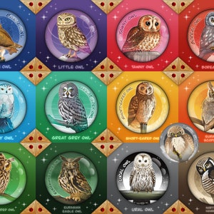 OWLS - BADGES Collection: Tawny Owl, Barn Owl, Snowy Owl, Great Gray Owl, Eurasian Eagle Owl, Short-Eared Owl, Northern Hawk-Owl, Ural Owl