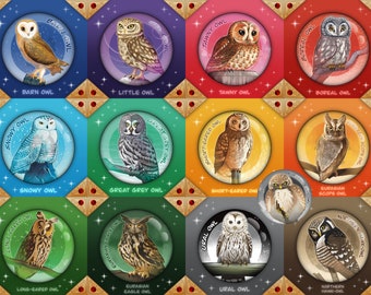 OWLS - BADGES Collection: Tawny Owl, Barn Owl, Snowy Owl, Great Gray Owl, Eurasian Eagle Owl, Short-Eared Owl, Northern Hawk-Owl, Ural Owl