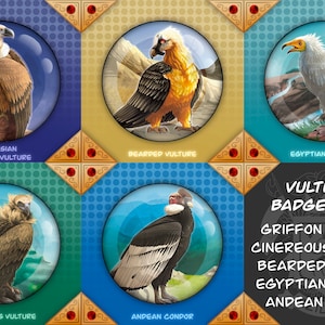 Puede incluir: Un conjunto de cinco insignias redondas de 38 mm que representan diferentes tipos de buitres. Las insignias están en un patrón de cuadrícula con un fondo negro y texto blanco que dice "VULTURES BADGE 38MM". Los buitres se representan con un estilo realista con plumas y picos detallados. Las insignias están etiquetadas con los nombres de los buitres: Buitre leonado, Buitre barbudo, Buitre egipcio, Buitre negro y Cóndor andino.