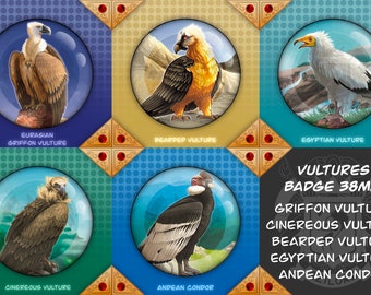 Vultures - BADGES Collection: Eurasian Griffon Vulture, Cinereous Vulture, Bearded Vulture, Andean Condor, Egyptian Vulture - BIRD LOVER