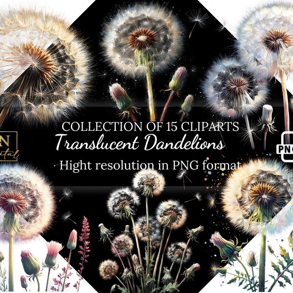 Translucent Dandelion Clipart Collection • Dandelion Overlays • Translucent Illustrations With Transparent Background • PNG Format