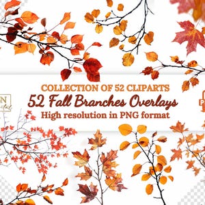 52 Herbst Zweige Overlays/Clipart Sammlung • Herbstblätter Clip Art • Realistische Herbst Zweige mit transparentem Hintergrund Overlays