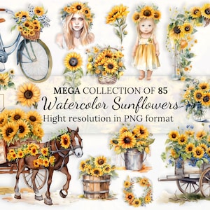 85 Coleção de clipart de girassóis em aquarela • Ilustração de girassóis em aquarela • Alta resolução • Formato PNG • Impressão sob demanda