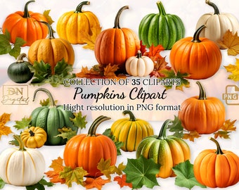 Pumpkins Clipart Collection With Free Commercial License • Vibrant Autumn Graphics for Creative Projects