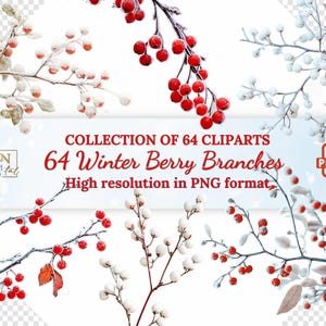 64 Winter Beeren Zweige Overlays/Clipart Sammlung • Gefrorene Beeren Clip Art • Realistische Beere mit transparentem Hintergrund