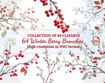 64 Winter Berry Branches Overlays/Clipart Collection • Frozen Berries Clip Art • Realistic Berry with Transparent Background Photo Overlays