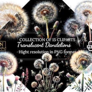 Colección de imágenes prediseñadas de diente de león translúcido • Superposiciones de diente de león • Ilustraciones translúcidas con fondo transparente • Formato PNG
